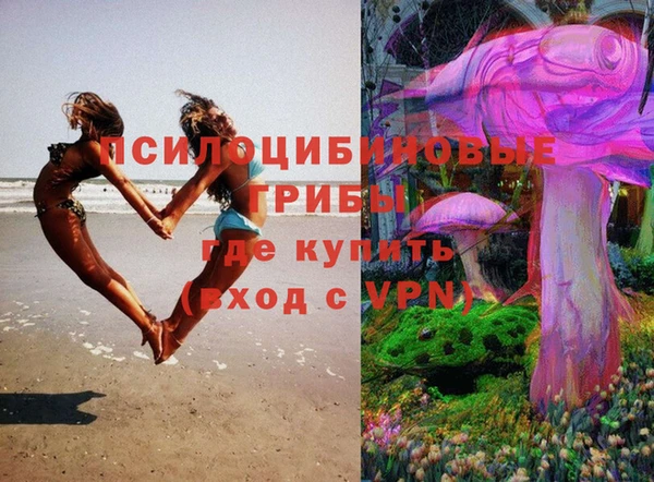 мяу мяу мука Аркадак