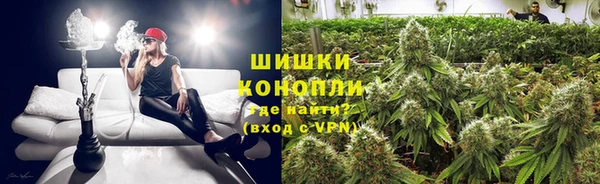 мяу мяу мука Аркадак